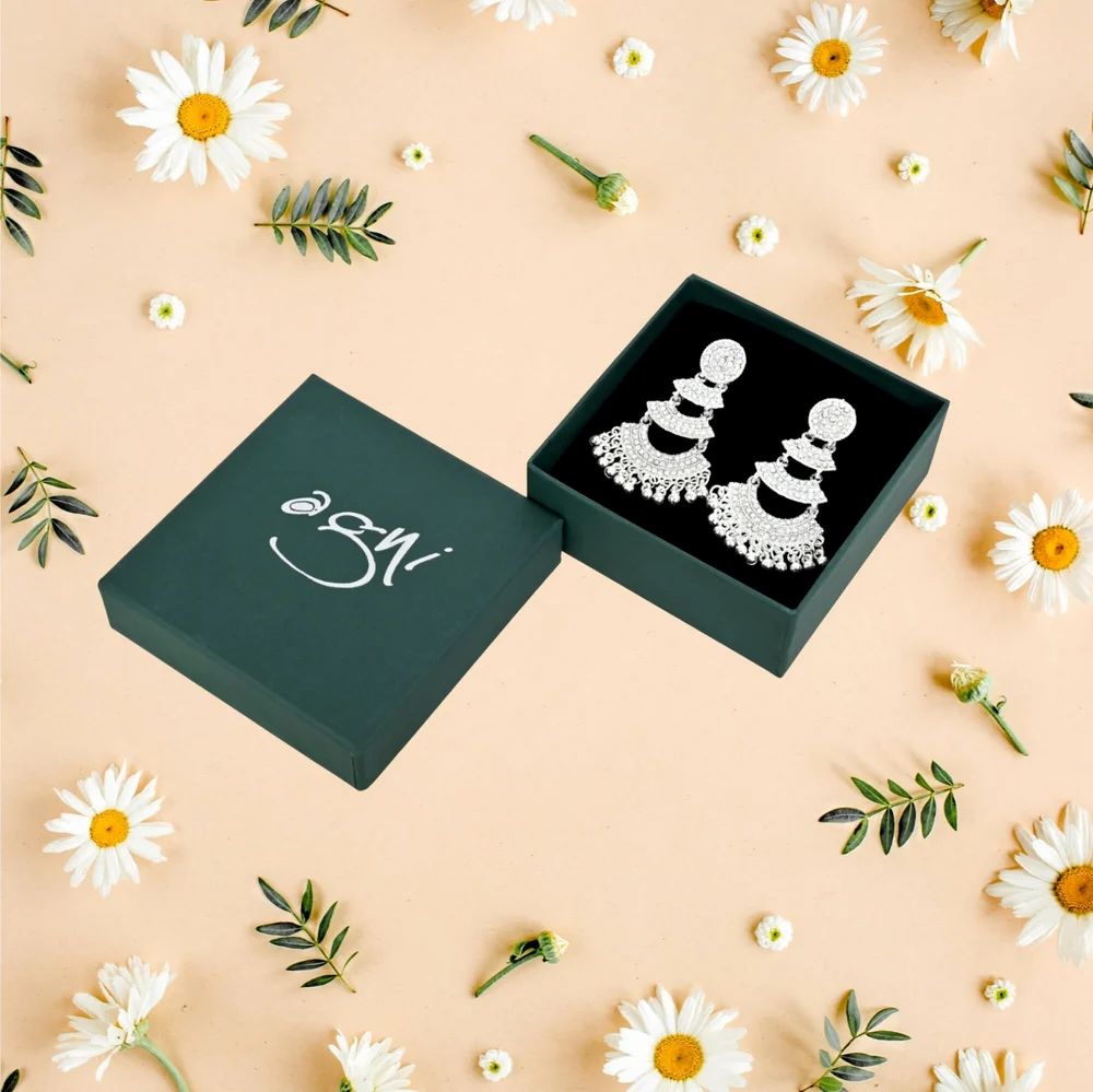 Earring Jewelry Box