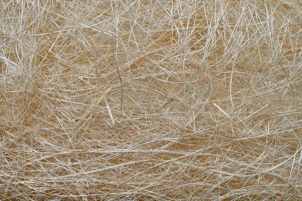 Coir and Agro Products