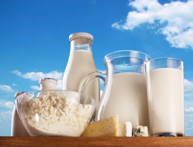 Dairy Ingredients