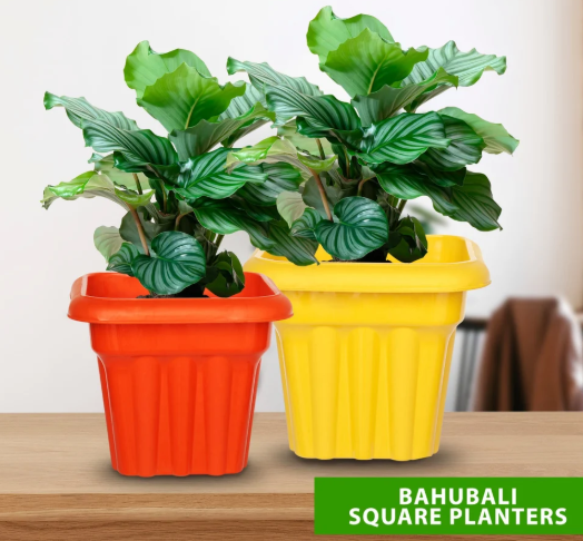 10'' Bahubali Square