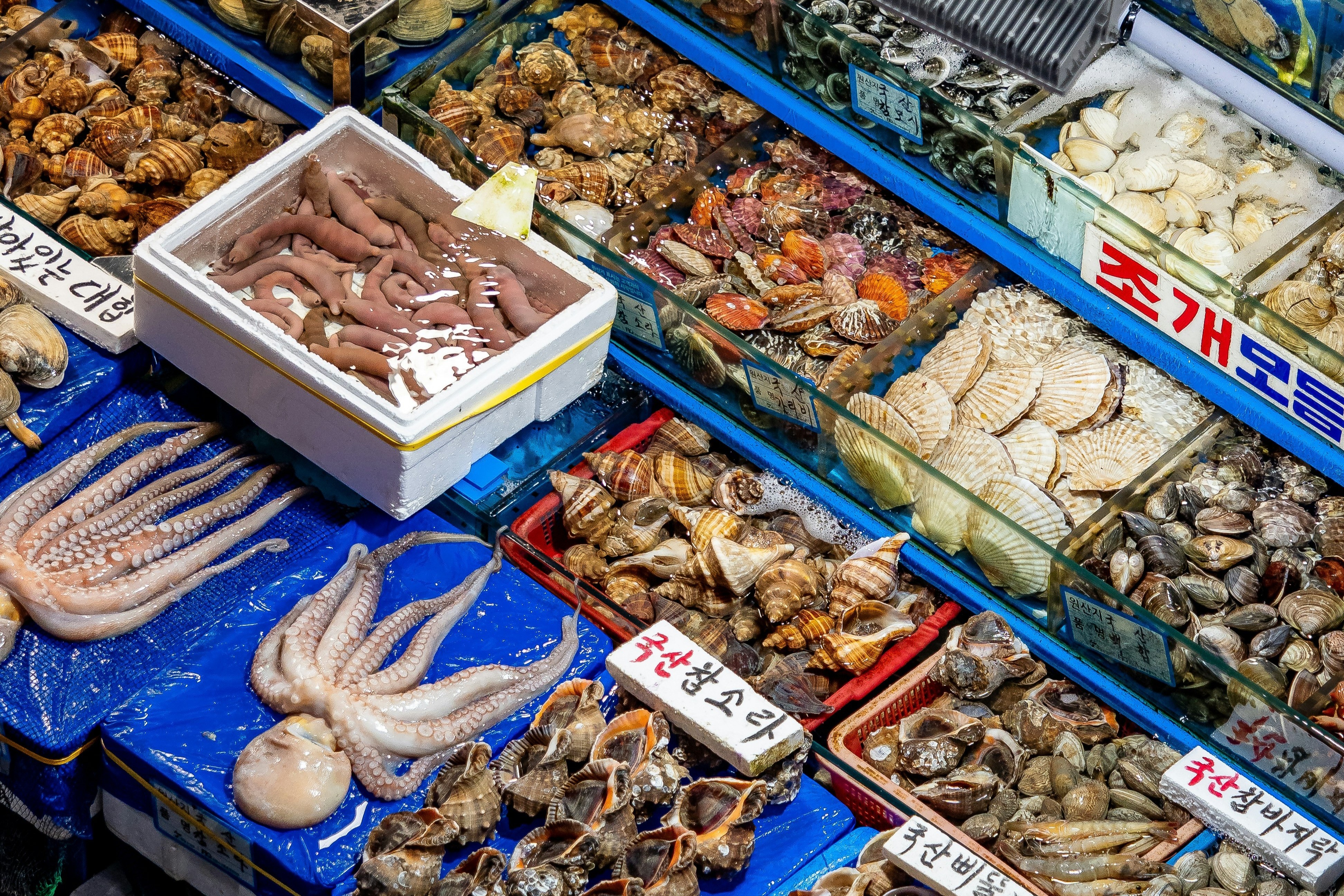 Marine Food Supplies