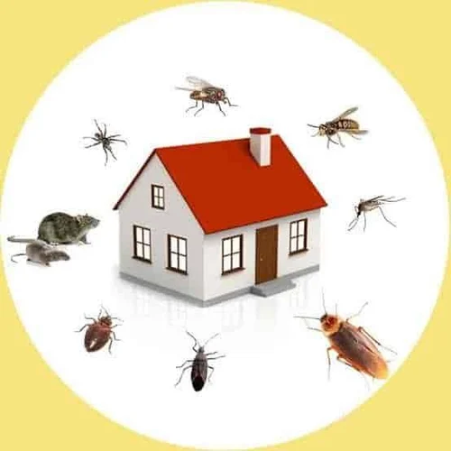 Household Pest Control Service