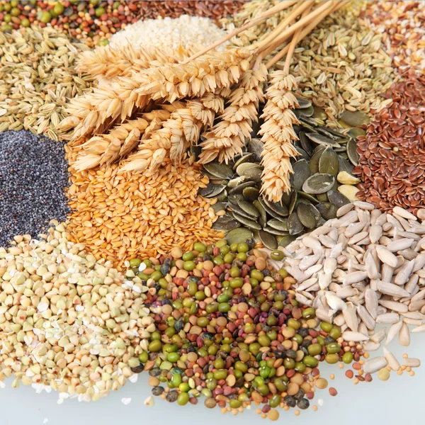Seeds & Plantation Products
