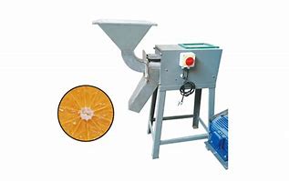 Fruit Pulper Mill