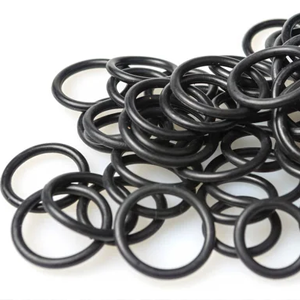 Rubber Gaskets and Gasket Mate..