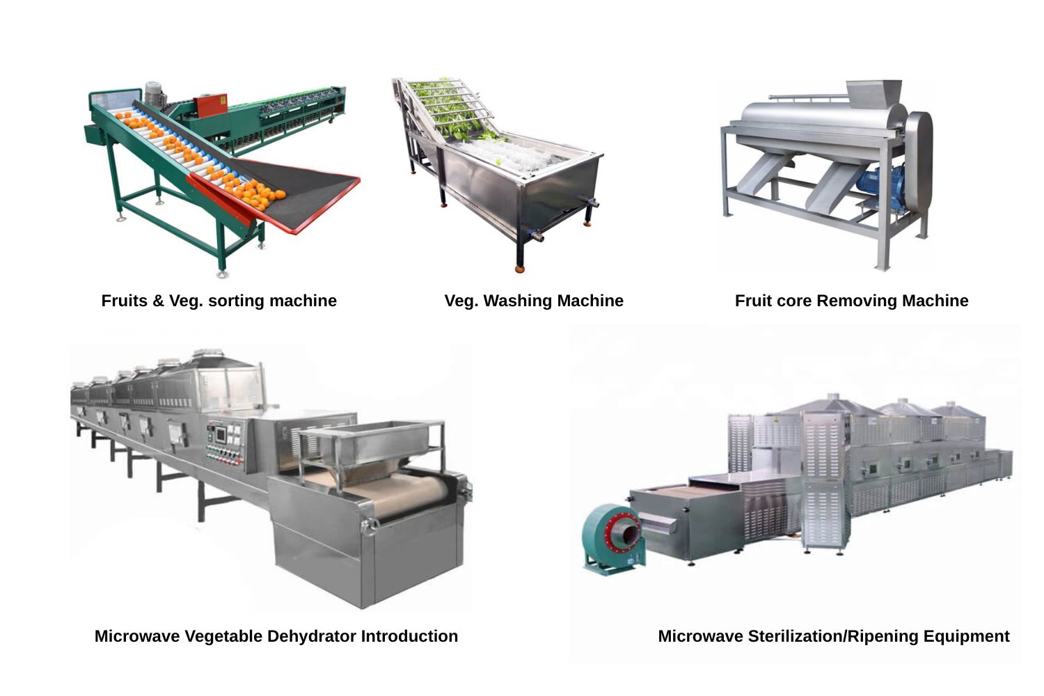 Fruit & Vegetable Processing M..