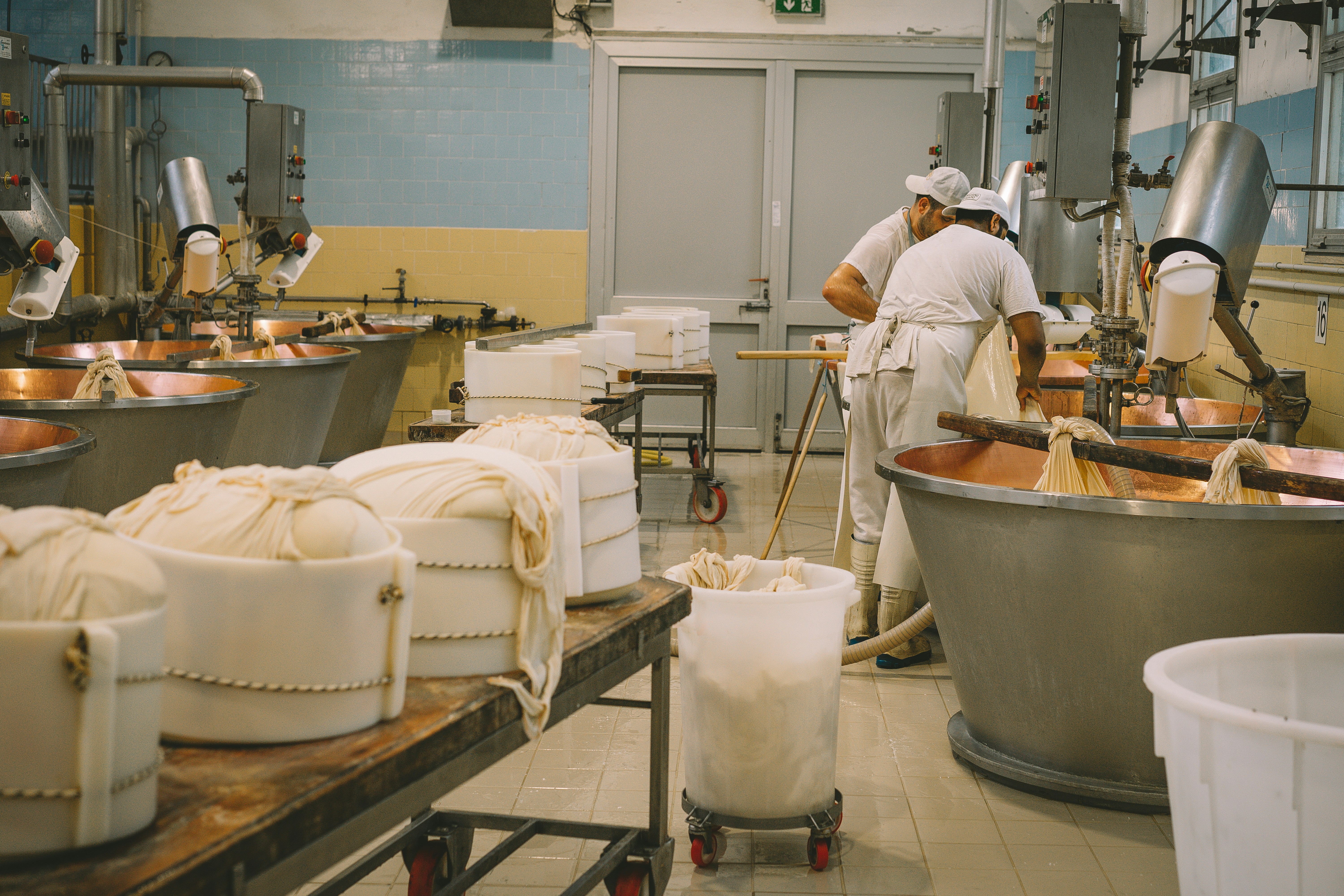 Meat & Seafood Processing Equi..