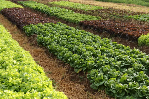 Agricultural Ground & Crop Cov..