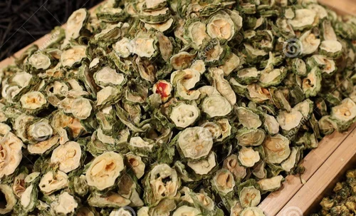 Jyoti Bitter Gourd