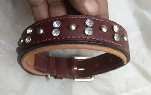 Dog Leather Collar