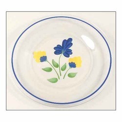Plastic Dinner Plate