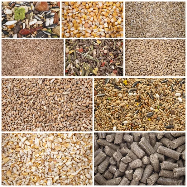 Bird Food, Poultry & Animal Food
