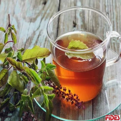 Basil Tulsi Tea