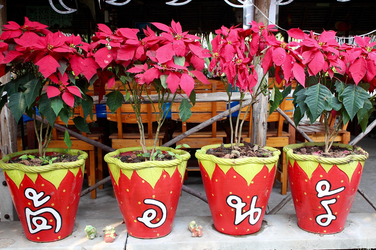 Flower Pots & Vases
