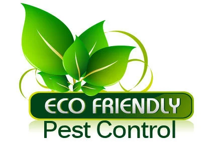 Eco Friendly Pest Control Service