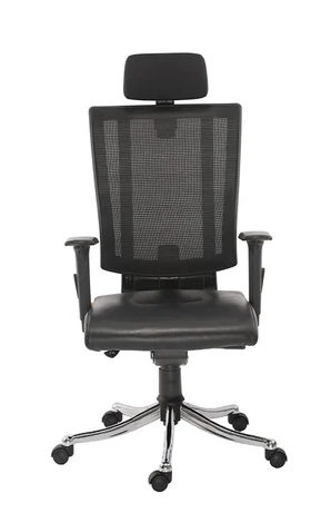 Promax Premium Ergonomic High Back Revolving Chair