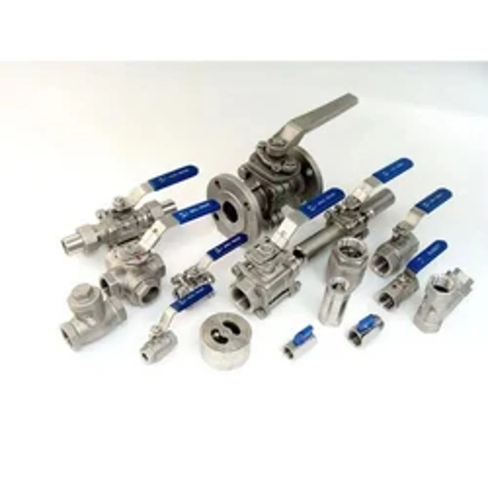 Stainless Steel Valv
