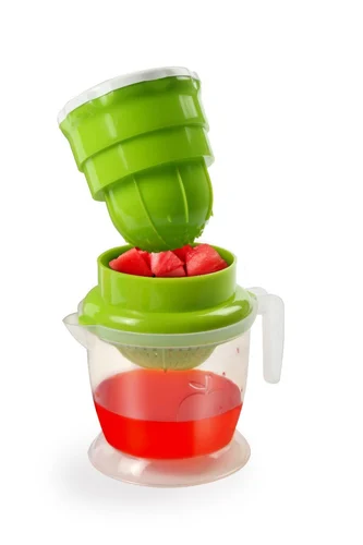 Mini Fruit Juicer