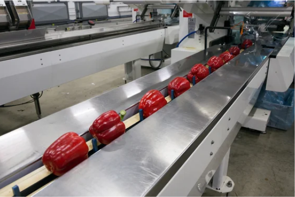 Vegetable Processing Plant