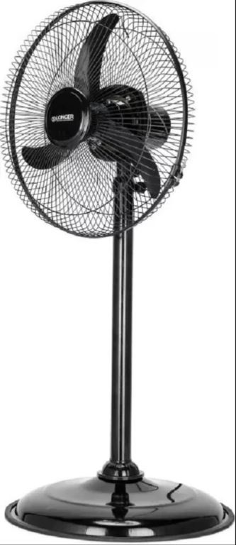 Pedestal Fan