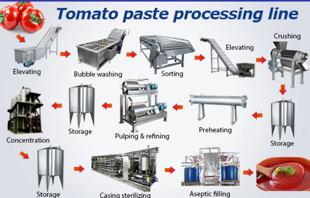 Tomato Processing Pl