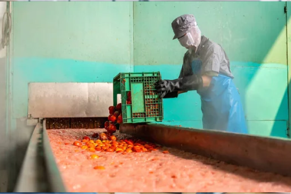 Ketchup & Sauce Machine