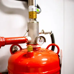Smoke & Gas Leak Detectors