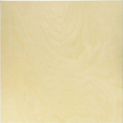Birch Plywood