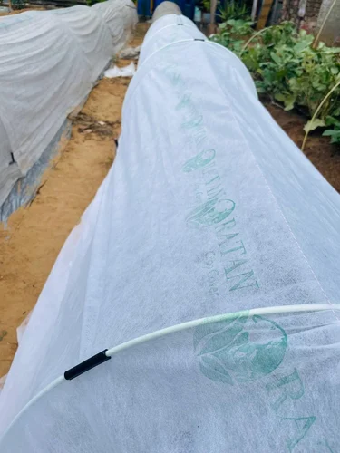 Non Woven Fabric - C