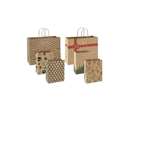 Brown Paper Bag