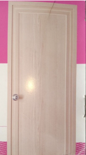 Sintex PVC Door