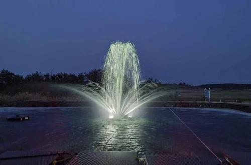 Water Lilly Fountain