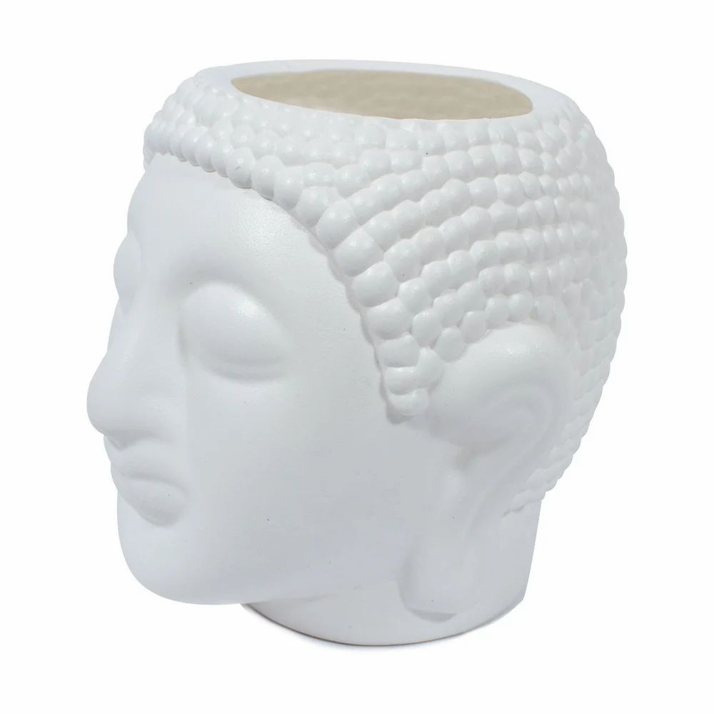 Budha 8 Inch Plant C