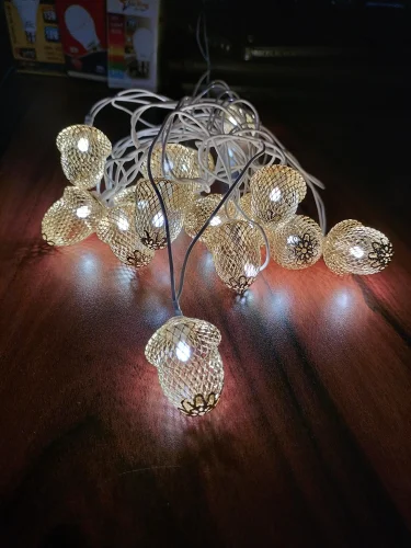 Golden ladi led