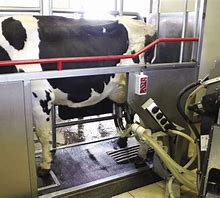 Automatic Milking Machine