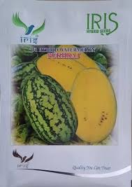 Pukhraj Watermelon S