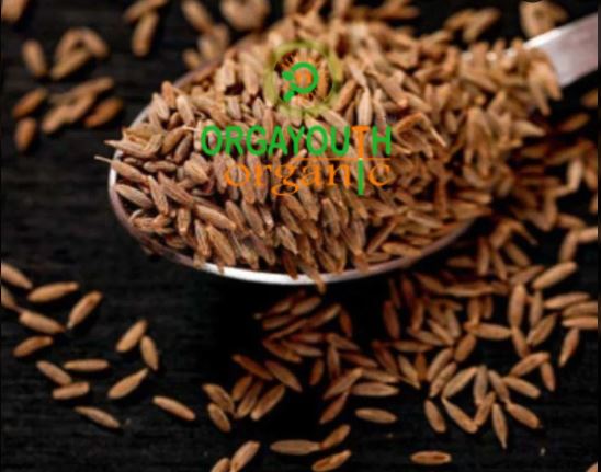 Cumin Seed - Cumin W