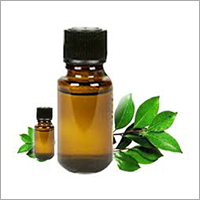 Premium Ajwain Oil