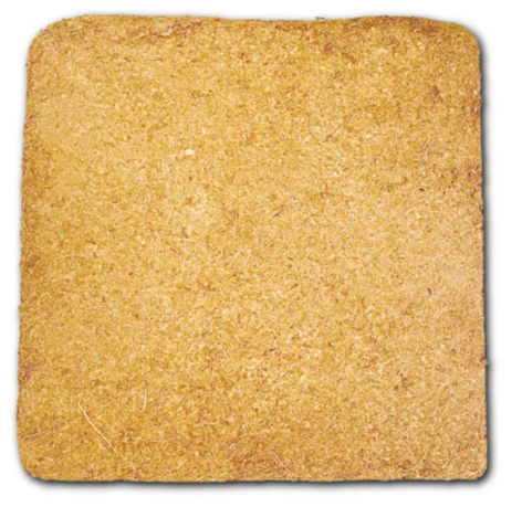 Square Cocopeat Bric