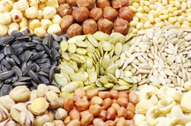 Edible Seeds