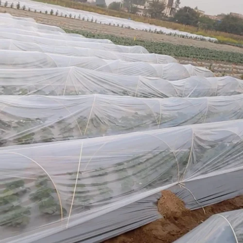 Low Tunnel Plastic C