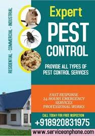 Pest Control Services