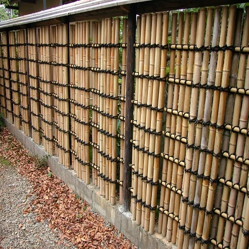 Bamboo Fence