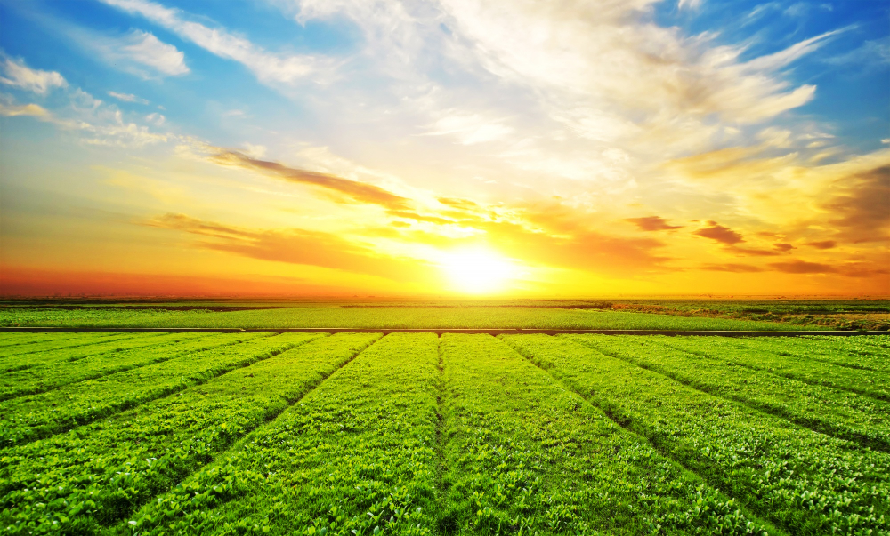 Agriculture and Farming