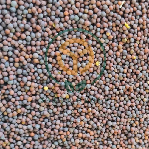 Black Mustard Seeds
