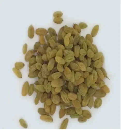 Seedless Dry Green R