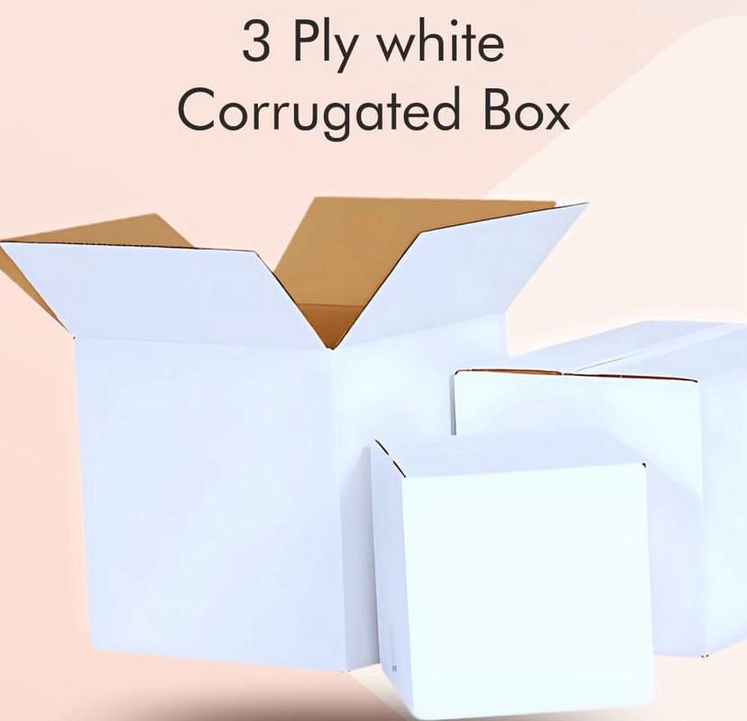 Corrugated Box