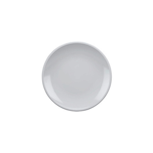 Acrylic Dinner Plate