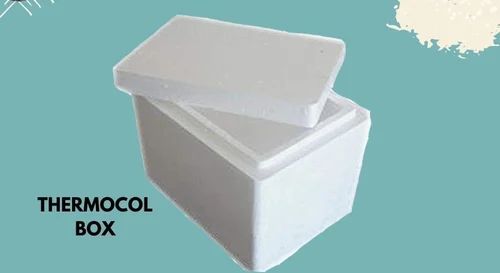 10 Litre Thermocol Ice Box