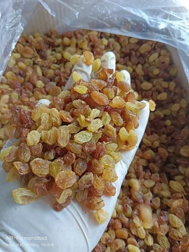 Malayar AA Raisins